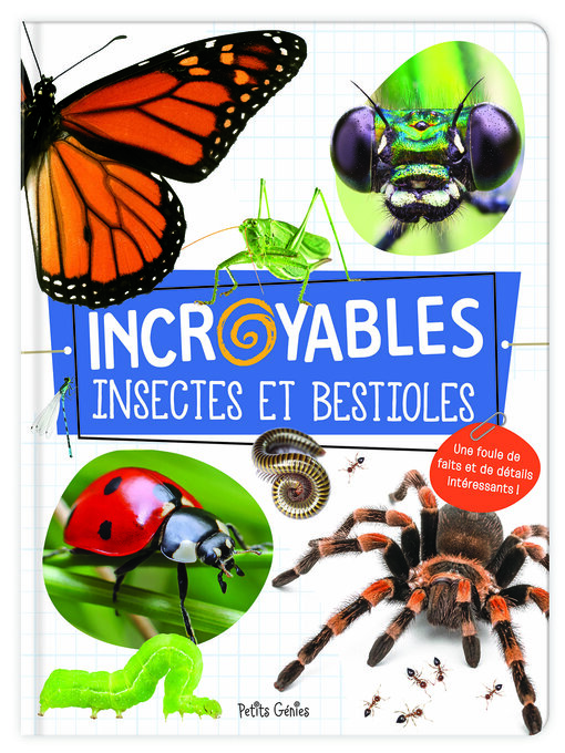 Title details for Incroyables insectes et bestioles by Claire Chabot - Available